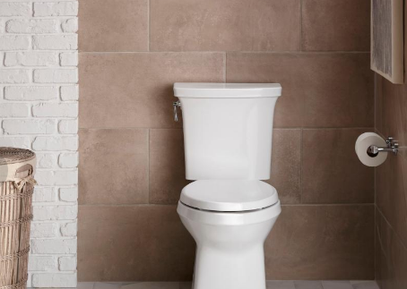 toilet cleaning estimate